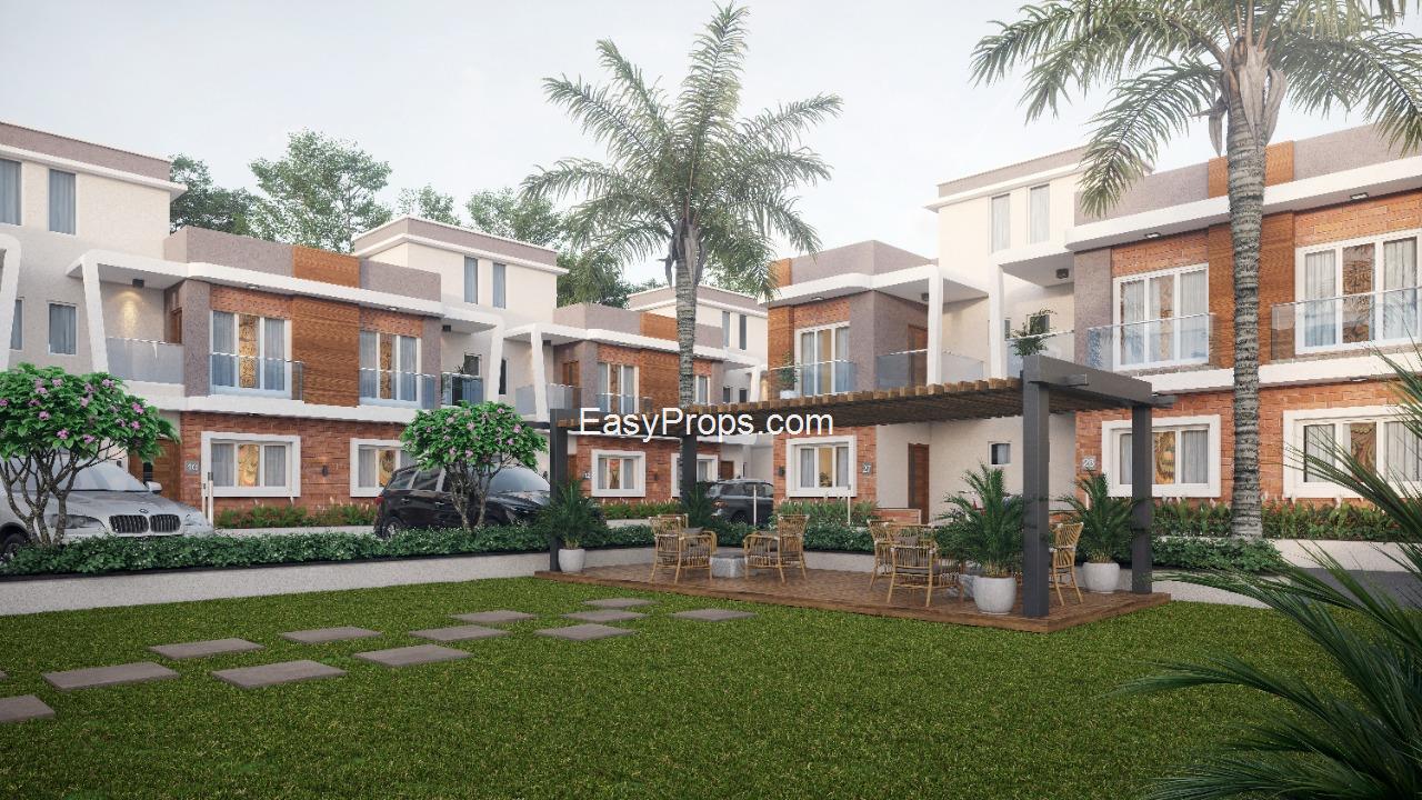 2024-07-15 (6)_20250328092842201.jpg